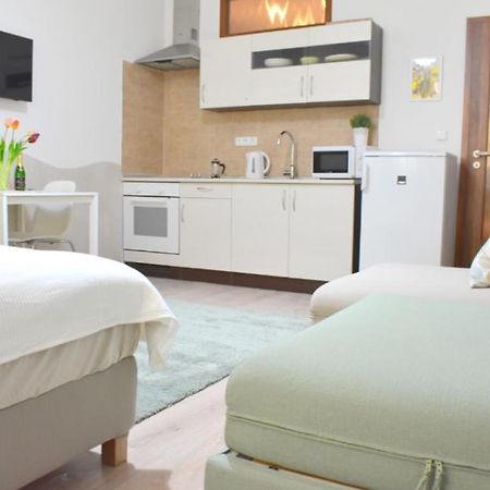 Prague City Centre Apartment エクステリア 写真